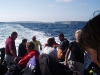 P7160205.sized.jpg