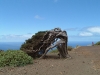 DSCF0215.jpg