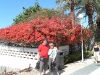 DSCF0322.jpg