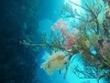PC070110.sized.jpg