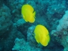 PC080138.sized.jpg