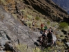 El_Hierro_229.sized.jpg
