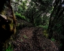 091web04.sized.jpg