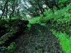 093web04.sized.jpg