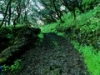 093web04.thumb.jpg