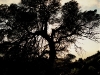 096web04.sized.jpg