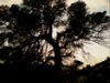 096web04.thumb.jpg