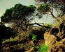 097web04.sized.jpg