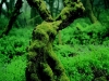 098web04.sized.jpg
