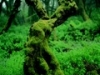098web04.thumb.jpg