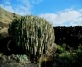 099web04.thumb.jpg