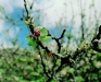 102web04.sized.jpg