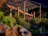 109web04.thumb.jpg