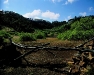 112web04.sized.jpg