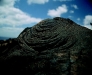 117web04.sized.jpg