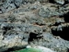 129web04.thumb.jpg