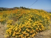 P5170627.sized.jpg