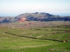 PB210361.sized.jpg