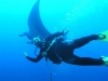 Manta_4.sized.jpg
