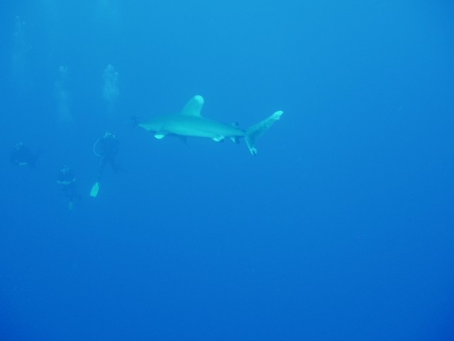 PC080252