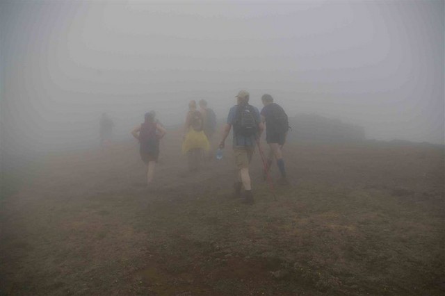 El Hierro 214