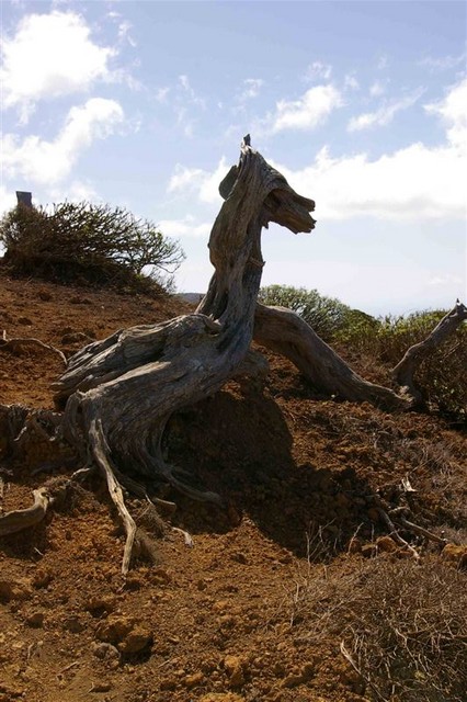 El Hierro 318