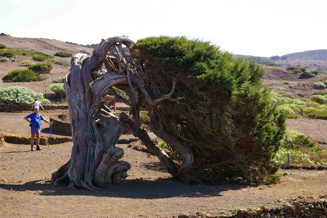 El Hierro 320