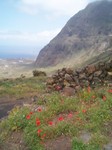 03.05.02 El Hierro 031