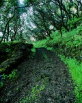 093web04